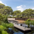 5 Must-Attend Health and Wellness Community Events in Lake County, Florida