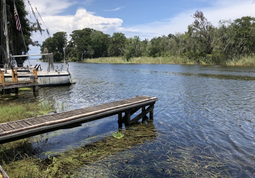 The Hidden Gems of Community Events in Lake County, Florida