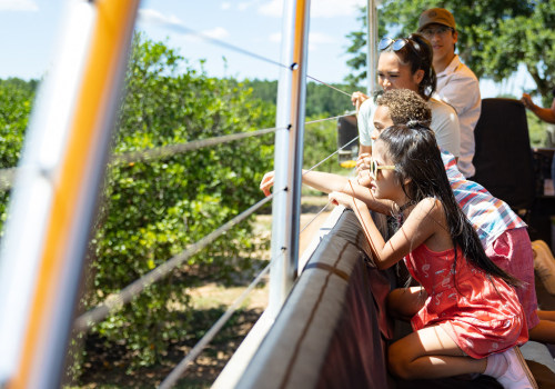 The Vibrant Community Events in Lake County, Florida: A First-Hand Perspective
