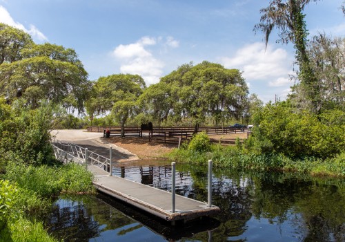 The Vibrant Community Events Scene for Seniors in Lake County, Florida